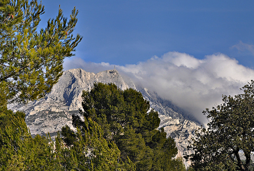 Entre les arbres - Le sommet de la montagne Sainte-Victoire by Charlottess