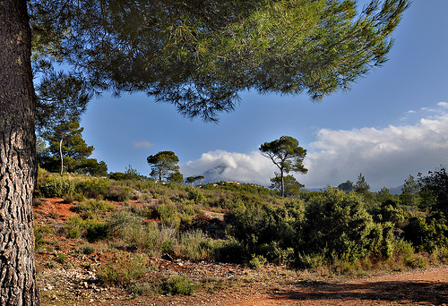 Au loin - la Sainte-Victoire par Charlottess