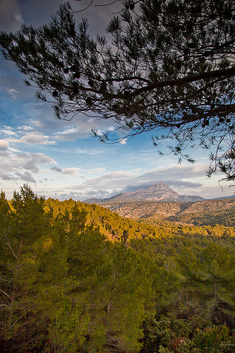 Randonnée autour de la Réserve Naturelle Sainte Victoire  par Look me Luck Photography