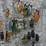 Cigales... souvenirs par Cilions - Les Baux de Provence 13520 Bouches-du-Rhône Provence France