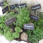 Les Herbes de Provence réunies  par Eduardo & Nara - Les Baux de Provence 13520 Bouches-du-Rhône Provence France