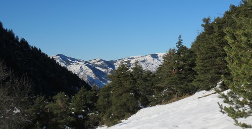 Belle journée de décembre.  - Alpilles par bernard BONIFASSI