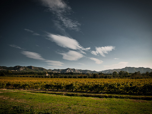  A very tough bike ride over Les Alpilles by ethervizion