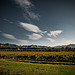  A very tough bike ride over Les Alpilles by ethervizion - Les Baux de Provence 13520 Bouches-du-Rhône Provence France