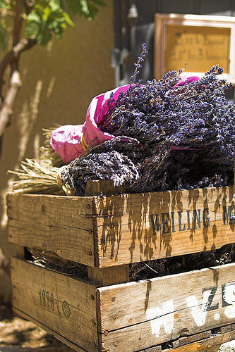 Lavender Le Baux par Authentic Provence