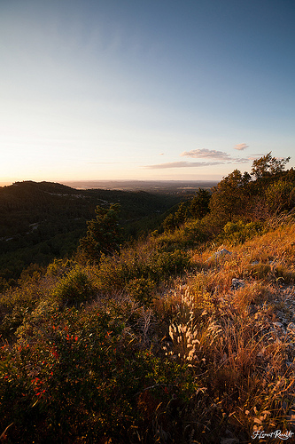 Randonnée dans les alpilles près des Baux par NeoNature