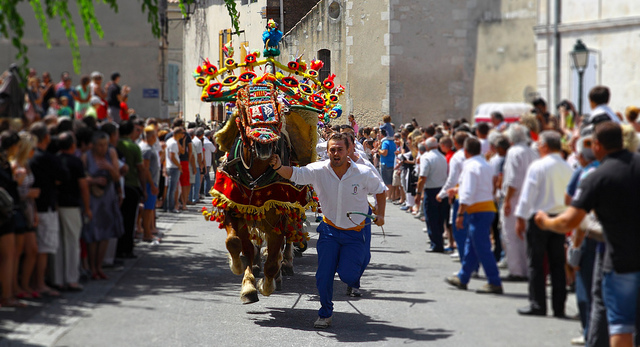 Fêtes de la Saint Eloi  (Bouches-du-Rhône - Maillane) par gi0rdan0 brun0