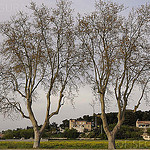 Gignac la Nerthe par fredomarseille - Marignane 13700 Bouches-du-Rhône Provence France