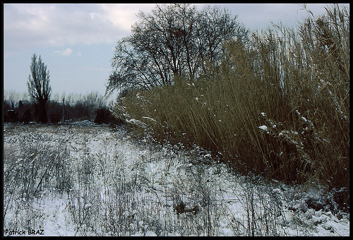 Marignane sous la neige by Patchok34