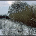 Marignane sous la neige by Patchok34 - Marignane 13700 Bouches-du-Rhône Provence France