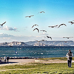 Feeding birdies - plage bonneveine by Paris - Mérida - Marseille - Marseille 13000 Bouches-du-Rhône Provence France