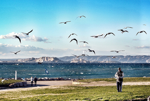 Feeding birdies - plage bonneveine par Paris - Mérida - Marseille