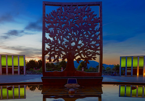 L'Arbre de l'espérance par Murphy13006