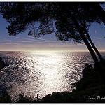 Contre jour d'azur par Tinou61 - Marseille 13000 Bouches-du-Rhône Provence France