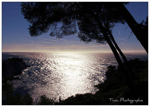 Contre jour d'azur par Tinou61