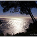 Contre jour d'azur par Tinou61 - Marseille 13000 Bouches-du-Rhône Provence France