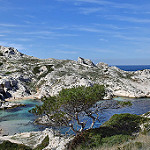 Les îles du Frioul  par Charlottess - Marseille 13000 Bouches-du-Rhône Provence France