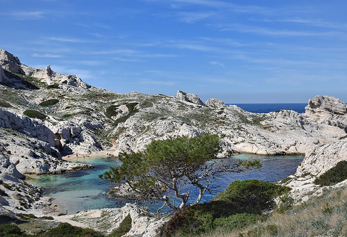 Les îles du Frioul  par Charlottess