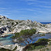 Les îles du Frioul  par Charlottess - Marseille 13000 Bouches-du-Rhône Provence France
