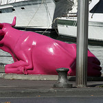 A Pink Cow lost in Marseille by Elmo Blatch - Marseille 13000 Bouches-du-Rhône Provence France