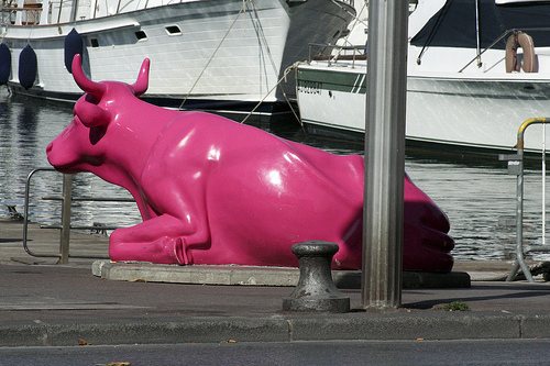 A Pink Cow lost in Marseille by Elmo Blatch