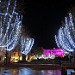 Noël sur le vieux port de Marseille by Josiane D. - Marseille 13000 Bouches-du-Rhône Provence France