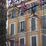 Cours Julien - Au détour d'un cyprès par laetitiablabla - Marseille 13000 Bouches-du-Rhône Provence France