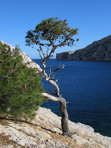 Entrée de la Calanque de Morgiou par schoeband