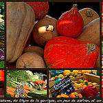 Marché de Provence en Automne par Fanette13 - Marseille 13000 Bouches-du-Rhône Provence France