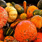 légumes oubliés sur le marché de Marseille by Fanette13 - Marseille 13000 Bouches-du-Rhône Provence France