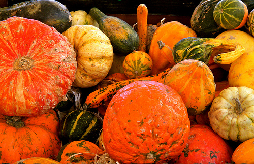 légumes oubliés sur le marché de Marseille by Fanette13