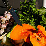 Potiron - Marché de Provence en Automne par Fanette13 - Marseille 13000 Bouches-du-Rhône Provence France