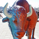 Bison Santé - Funny Zoo Marseille by Hélène_D - Marseille 13000 Bouches-du-Rhône Provence France