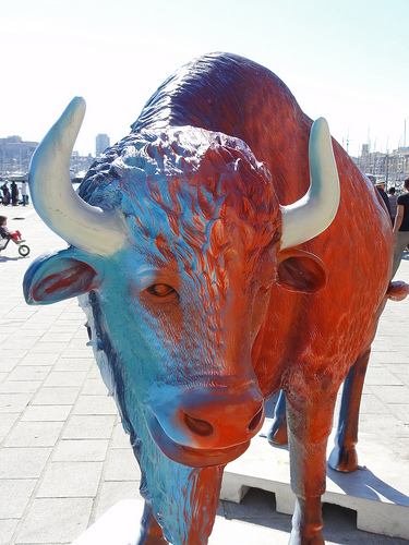 Bison Santé - Funny Zoo Marseille par Hélène_D