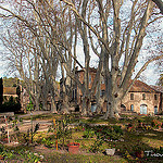 Une ferme dans la vallée des Baux par Tinou61 - Maussane les Alpilles 13520 Bouches-du-Rhône Provence France