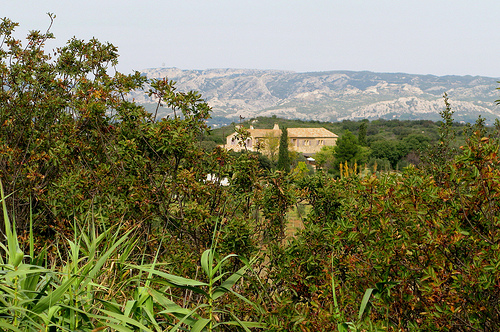 Un mas perdu dans les alpilles par cigale4