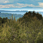 Ventoux vu du massif du Montaiguet par bruno Carrias - Aix-en-Provence 13100 Bouches-du-Rhône Provence France