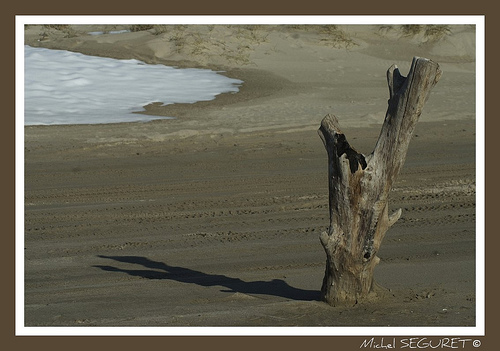 Plage de Piémanson (Camargue) by michel.seguret