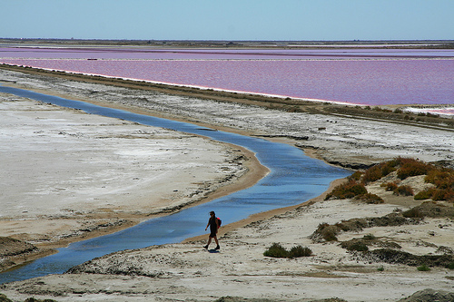 Salines de Camargue : Saline de Giraud  par nonsolofoto.g