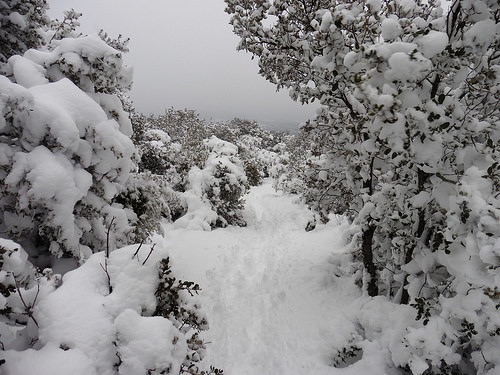 Neige à la montagne Sainte-Victoire par bruno Carrias