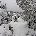 Neige à la montagne Sainte-Victoire by bruno Carrias - Puyloubier 13114 Bouches-du-Rhône Provence France