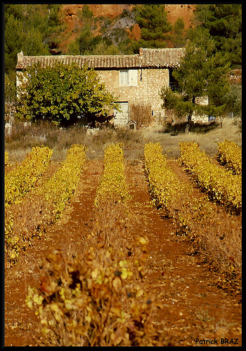 Mas dans les vignes par Patchok34