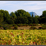 Balade d'automne par catycaty56 - Puyricard 13540 Bouches-du-Rhône Provence France