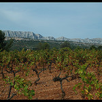 Vignoble & Montagne Sainte-Victoire par Patchok34 - Rousset 13790 Bouches-du-Rhône Provence France