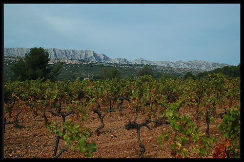 Vignoble & Montagne Sainte-Victoire par Patchok34