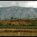 Montagne Sainte-Victoire par Patchok34 - Rousset 13790 Bouches-du-Rhône Provence France