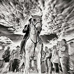 Gardians à cheval - Saintes Marie de la Mer by Zeucat DH Photography - Saintes Maries de la Mer 13460 Bouches-du-Rhône Provence France