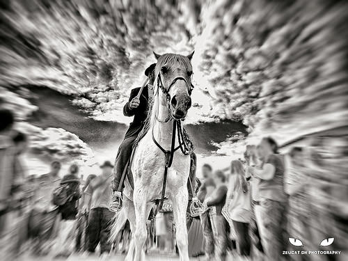 Gardians à cheval - Saintes Marie de la Mer by Zeucat DH Photography