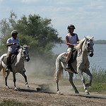 Randonnée à Cheval en Camargue par nonsolofoto.g - Saintes Maries de la Mer 13460 Bouches-du-Rhône Provence France