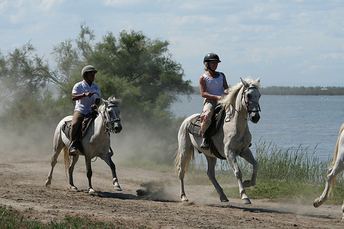 Randonnée à Cheval en Camargue by nonsolofoto.g